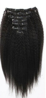 Mongolian Kinky Straight (Clip Ins)